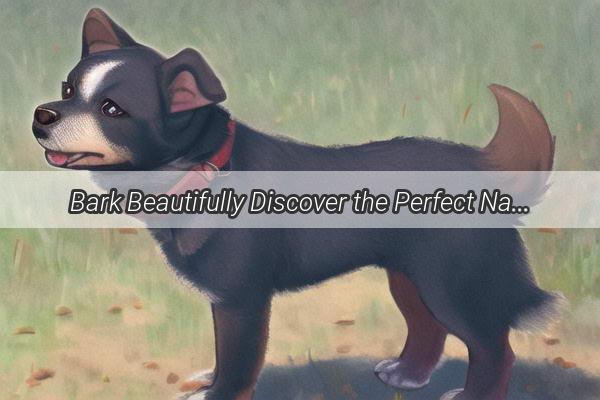 Bark Beautifully Discover the Perfect Names for City Canines